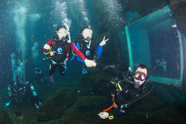 12/12正式上線！PADI 最新課程【休閑潛水員Resort Diver】 丨 一天拿證，潛遍全球