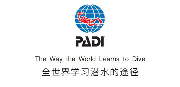 12/12正式上線！PADI 最新課程【休閑潛水員Resort Diver】 丨 一天拿證，潛遍全球
