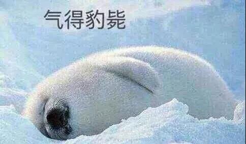 原來你是這樣的潛水員妹子！